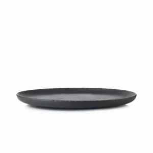 Assiette Plate Ardoise 26 Cm Basalt Revol 9